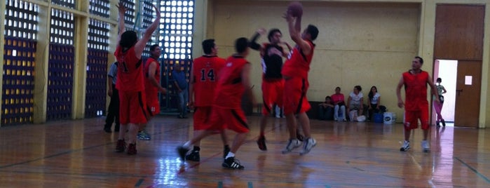 Liga Halcones Basquetbol A.C is one of Orte, die Ma Elena gefallen.