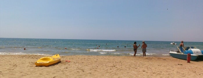 spiagge