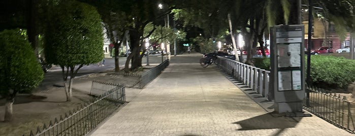 Camellón Mazatlán is one of The 15 Best Dog Parks in Mexico City.