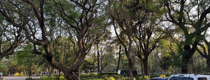 Parque América is one of Guide to Miguel Hidalgo's best spots.