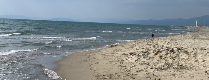 Viareggio Free Beach is one of Tempat yang Disukai Yuliia.