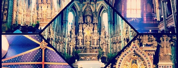 Notre Dame Cathedral Basilica is one of Lieux qui ont plu à Steve.