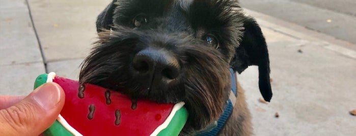 The Dog Bakery is one of Dog Friendly - LA.