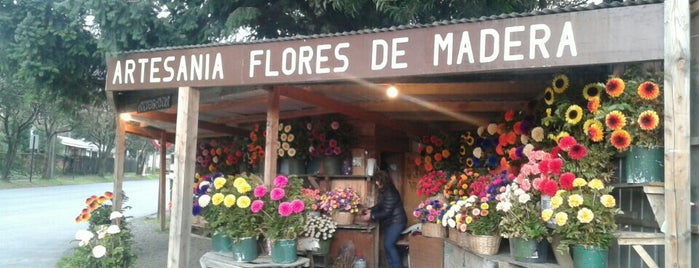 Flores de Madera is one of Ymodita 님이 좋아한 장소.