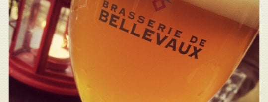 Brasserie de Bellevaux is one of Belgian Breweries.