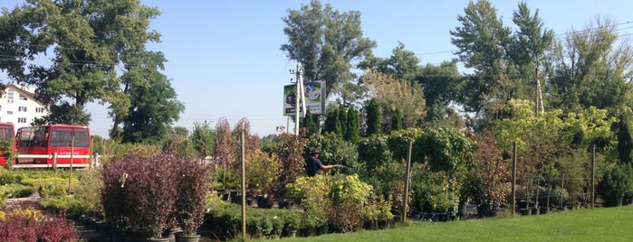 Green Village is one of Galia'nın Beğendiği Mekanlar.