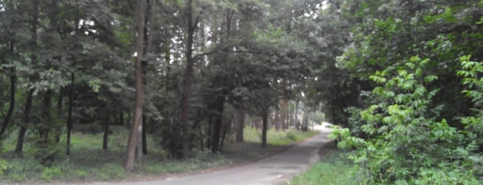 лес is one of Orte, die Ника gefallen.