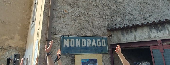 Mondrago is one of VRN.