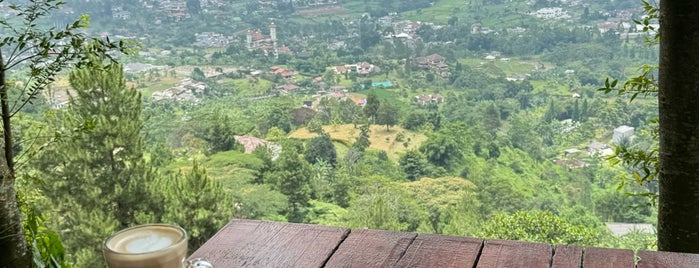 Kebun Raya Taman Wisata Cibodas is one of Puncak, West Java Area.