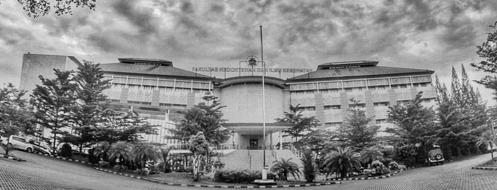 Fakultas Kedokteran Dan Ilmu Kesehatan is one of UIN Syahid Jakarta.