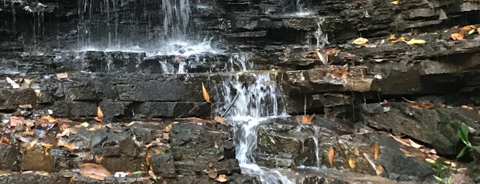 Laurel Run Park is one of Tennessee.