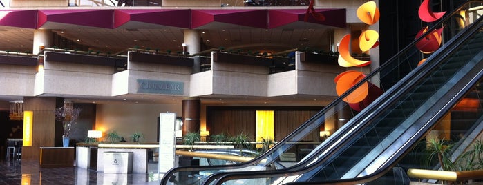 Hyatt Regency Crystal City At Reagan National Airport is one of Southern Jets Innanashional Layover Hotels.
