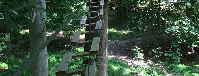 Treetop Adventures is one of Pennsylvania Pee Wees.