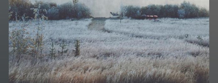 Afyon Kocatepe Üniversitesi Diş Hekimliği Fakültesi is one of Posti che sono piaciuti a Yalçın.