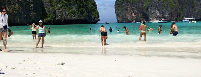 Phi Phi Islands is one of Fabiolaさんのお気に入りスポット.
