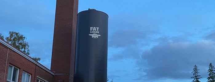 Fat Lizard Brewing Co. is one of mikko’s Liked Places.