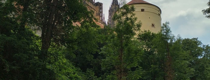 Královská zahrada is one of prg.