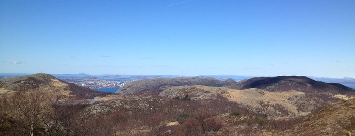 Lutsifjellet is one of Stavanger🏖.