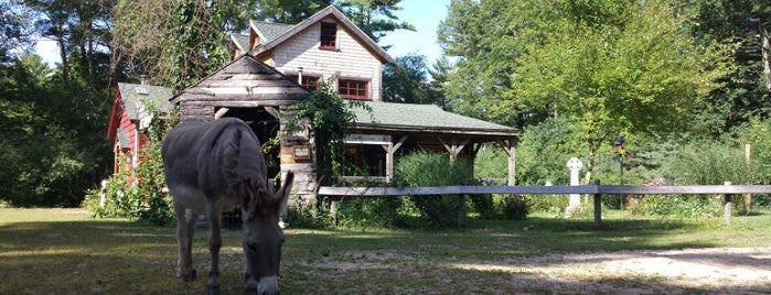 Winslow Farm Animal Sanctuary is one of Gregさんの保存済みスポット.