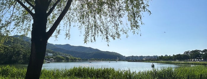 Suseong Lake is one of 가자_남쪽.