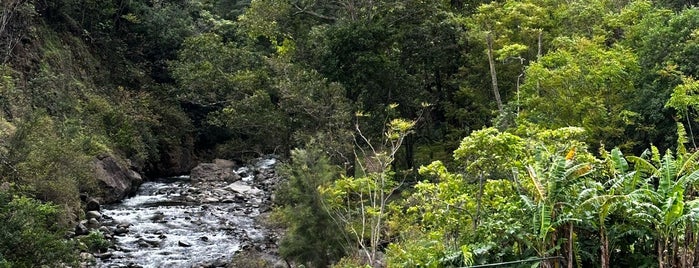 ʻĪao Valley State Park is one of maui trip.