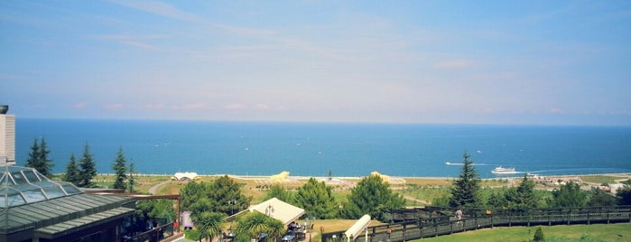 Amisos Cafe & Restaurant is one of Buğraさんのお気に入りスポット.