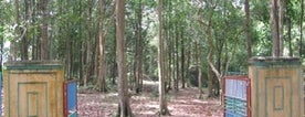 Hutan Wisata Sungailiat is one of Wisata Bangka.