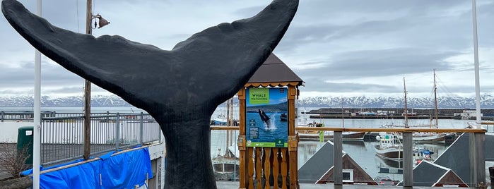 Whale Watching Centre is one of ICELAND - İZLANDA #2.