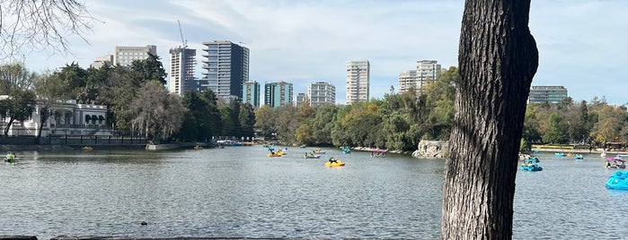 Lago de Chapultepec is one of Chris’s Liked Places.