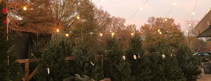 Trosa Christmas Trees - Chapel Hill is one of Orte, die Brandon gefallen.