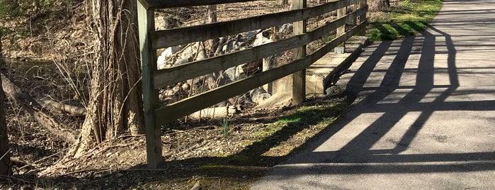 Taylorsville MetroPark is one of Five Rivers Metro Parks.