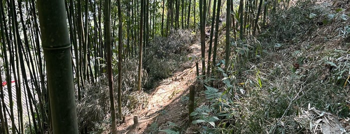 Lao Chải is one of Sapa.