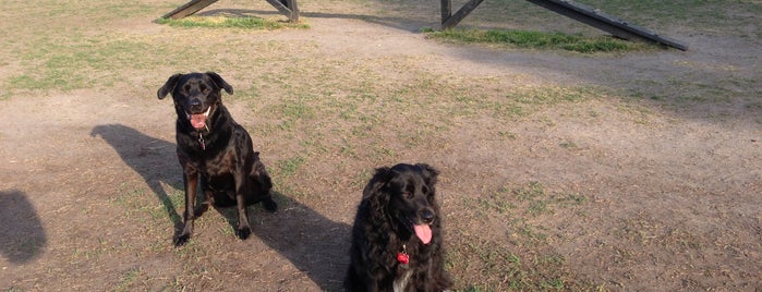 Lafayette Dog Park is one of va beach // to check out.