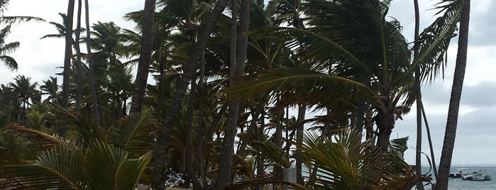 Dominicana beach is one of Marlyn Guzman : понравившиеся места.
