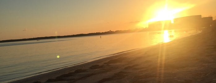 Dunedin Causeway is one of Florida parks.