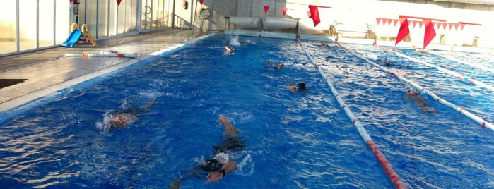 Piscina Municipal is one of Lieux qui ont plu à Sergio.