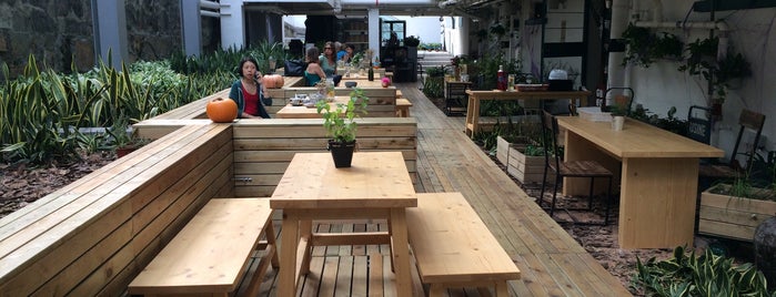 Sohofama is one of Startup Friendly Coffee Shops in Hong Kong.