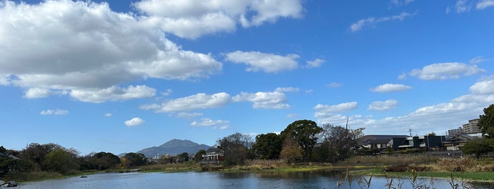 水前寺江津湖公園 is one of 熊本市.