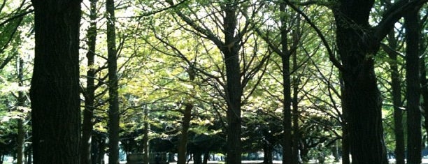 Yoyogi Park is one of Parks & Gardens in Tokyo / 東京の公園・庭園.