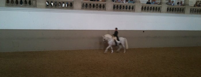 Spanish Riding School is one of Vienna - unlimited.