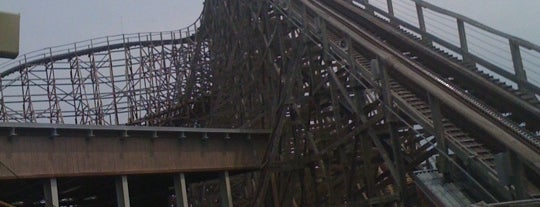 Gwazi is one of Theme Parks & Roller Coasters.