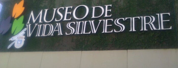 Museo de Vida Silvestre is one of Things To Do In Puerto Rico.