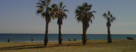 Playa de Muchavista is one of Playas de la Comunidad Valenciana.