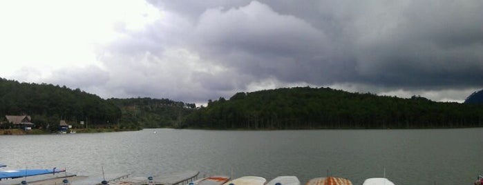 Tuyen Lam Lake is one of Đà Lạt.