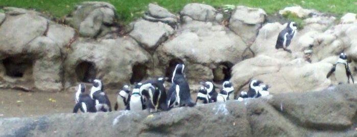 Fort Wayne Children's Zoo is one of Lugares favoritos de Ian.