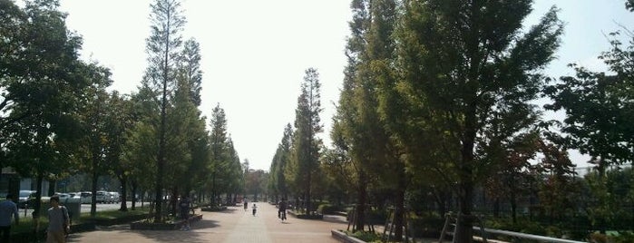 Toneri Park is one of 東京の公園50.