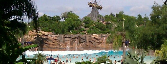 Disney's Typhoon Lagoon Water Park is one of Theme Parks & Roller Coasters.