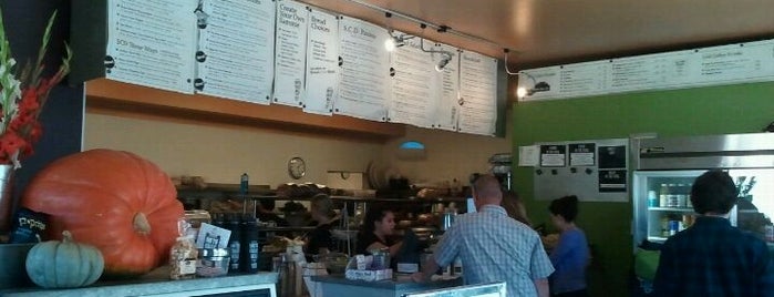 The 15 Best Dog Friendly Places In Santa Barbara South Coast Deli Is One Of The 15 Best Dog Friendly Places In Santa Barbara