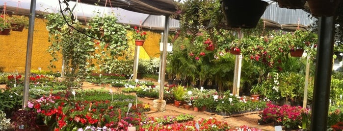 Floricultura Alvorada is one of สถานที่ที่ Renata ถูกใจ.