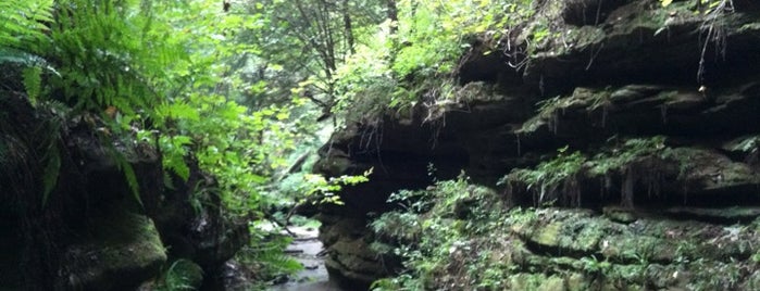 Turkey Run State Park is one of Indiana State Parks and Reservoirs.